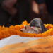 काठमाडौंका पूर्वमेयर पिएल सिंहको निधन