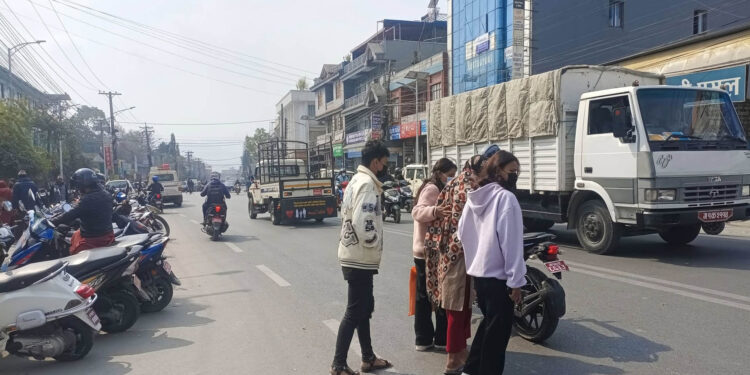 तस्बिर : जमुना वर्षा शर्मा