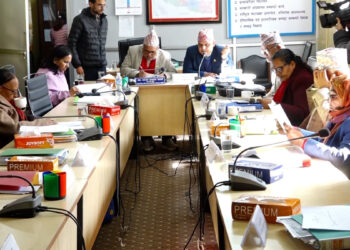 अध्यागमन प्रणाली सुधार्न संविधानअनुकूल नयाँ ऐन निर्माण गर्नुपर्छः सांसदहरु