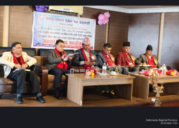 भन्सारमा मालवस्तुको घोषणा वास्तविक कारोबार मूल्यका आधारमा गरिनुपर्छः बराल