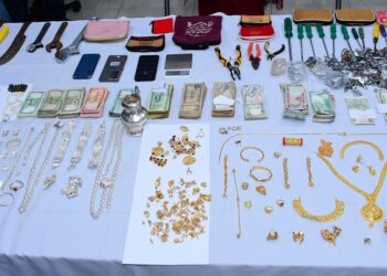 श्रृङ्खलाबद्ध चोरीमा संलग्न मानिस नियन्त्रणमा